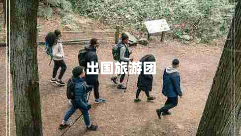 出国旅游团
