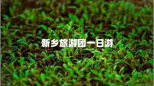 新乡旅游团一日游