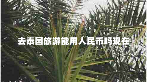去泰国旅游能用人民币吗现在