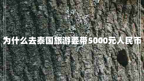 为什么去泰国旅游要带5000元人民币