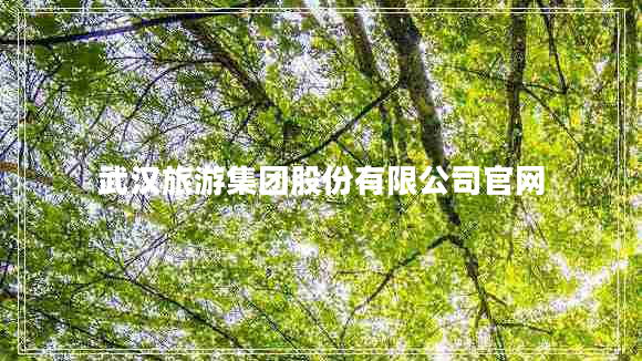 武汉旅游集团股份有限公司官网