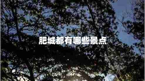 肥城都有哪些景点