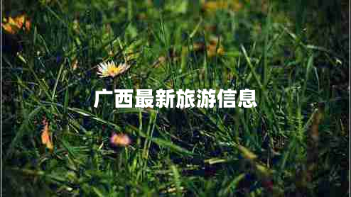 广西最新旅游信息