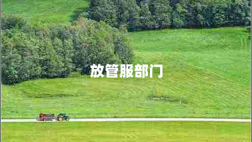 放管服部门