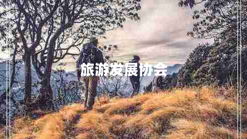 旅游发展协会