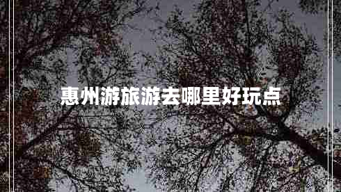 惠州游旅游去哪里好玩点