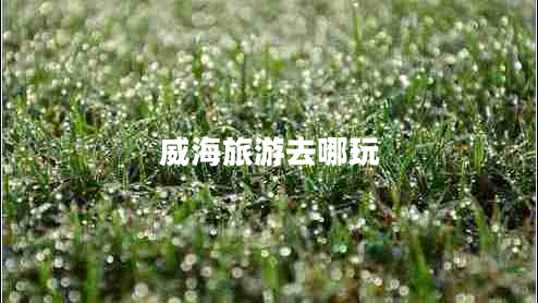 威海旅游去哪玩