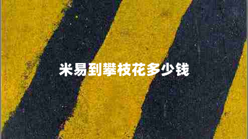 米易到攀枝花多少钱