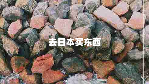 去日本买东西 去日本买东西
