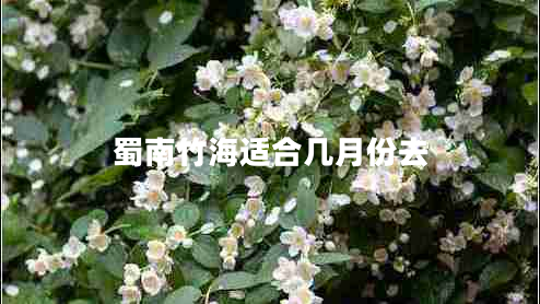 蜀南竹海适合几月份去