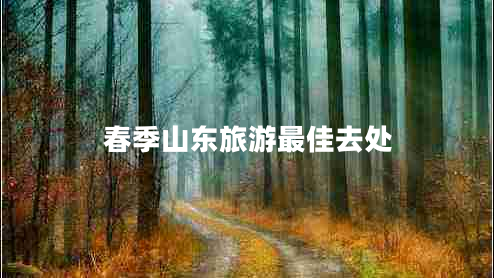 春季山东旅游最佳去处