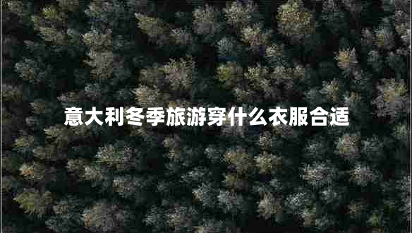 意大利冬季旅游穿什么衣服合适