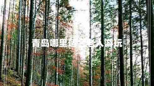 青岛哪里适合老人游玩