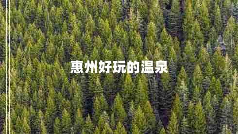 惠州好玩的温泉