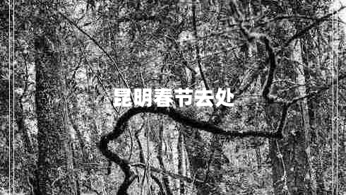 昆明春节去处