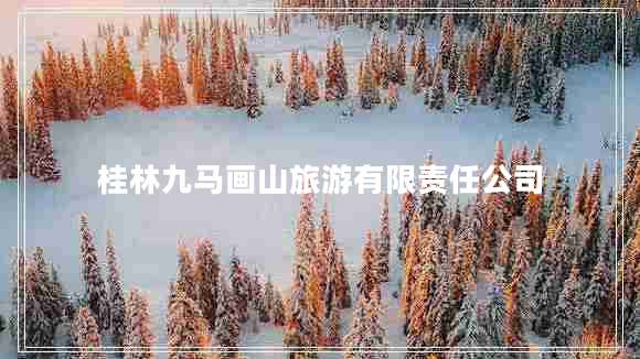 桂林九马画山旅游有限责任公司
