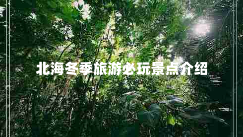 北海冬季旅游必玩景点介绍