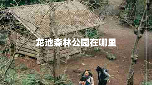 龙池森林公园在哪里