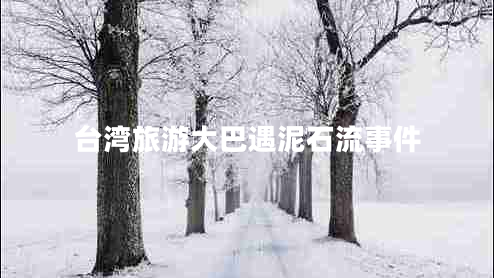 台湾旅游大巴遇泥石流事件