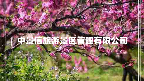 中景信旅游景区管理有限公司