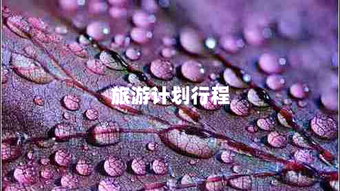 旅游计划行程