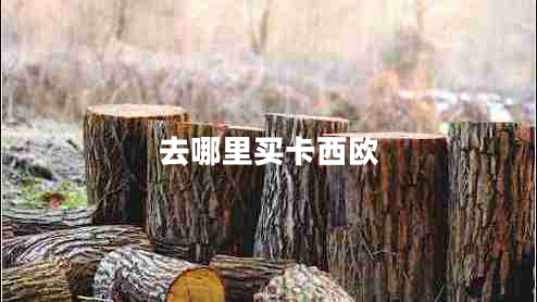 去哪里买卡西欧