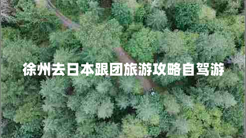 徐州去日本跟团旅游攻略自驾游