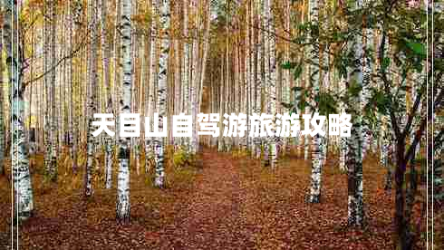 天目山自驾游旅游攻略 天目山自驾游旅游攻略