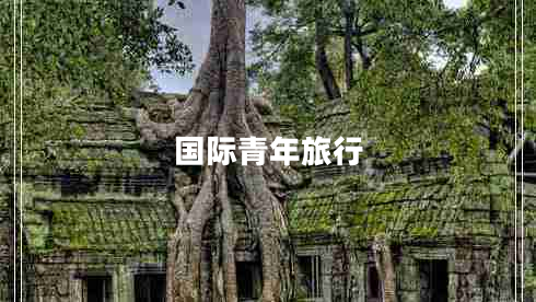 国际青年旅行