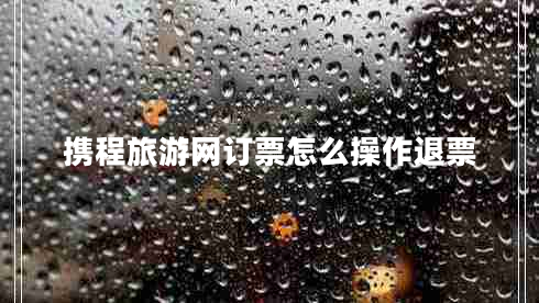 携程旅游网订票怎么操作退票