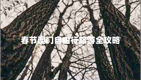 春节澳门自由行旅游全攻略