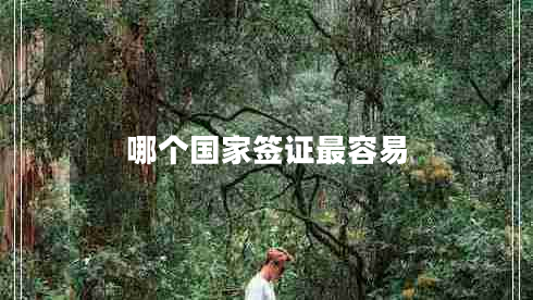 哪个国家签证最容易
