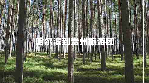 哈尔滨到贵州旅游团