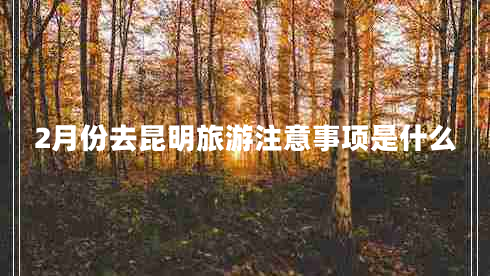 2月份去昆明旅游注意事项是什么
