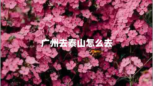 广州去泰山怎么去