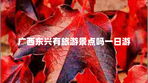 广西东兴有旅游景点吗一日游
