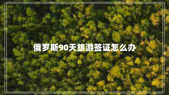 俄罗斯90天旅游签证怎么办