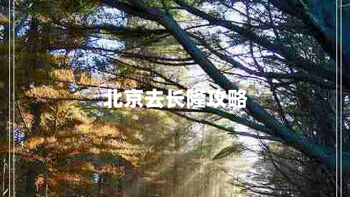 北京去长隆攻略