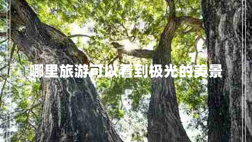 哪里旅游可以看到极光的美景