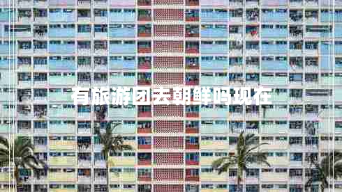 有旅游团去朝鲜吗现在