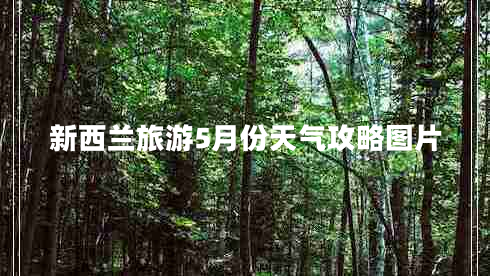 新西兰旅游5月份天气攻略图片