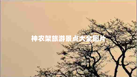 神农架旅游景点大全图片 神农架旅游景点大全图片