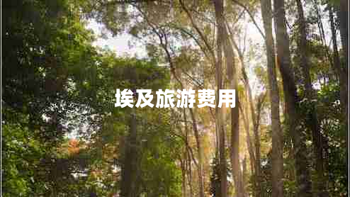 埃及旅游费用