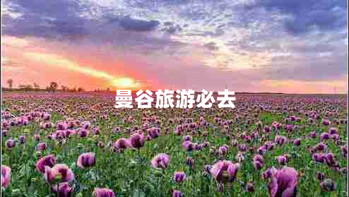 曼谷旅游必去