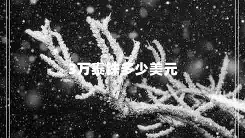3万泰铢多少美元