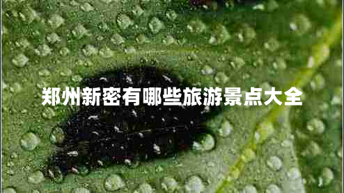 郑州新密有哪些旅游景点大全