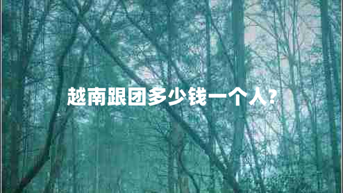 越南跟团多少钱一个人?