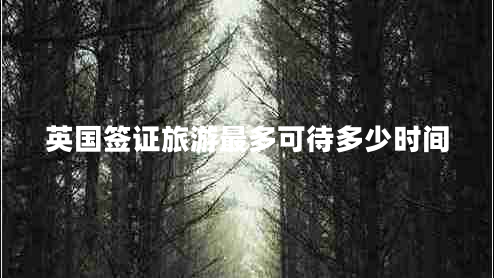 英国签证旅游最多可待多少时间