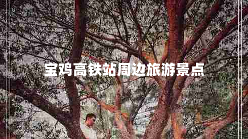 宝鸡高铁站周边旅游景点