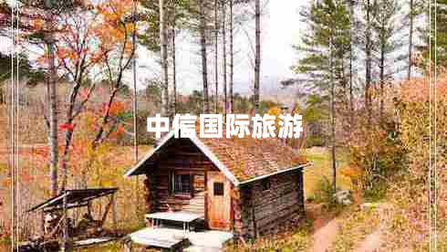 中信国际旅游